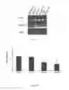 Fig. 11 - Compositions and methods for modulating immunity in plants
