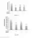 Fig. 14 - Compositions and methods for modulating immunity in plants