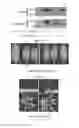 Fig. 19 - Compositions and methods for modulating immunity in plants