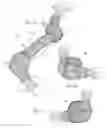 Fig. 08 - COMPOSITE ROPE AND ELASTOMER PET TOY