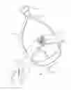 Fig. 08 - Adjustable harness for pet and methods of use