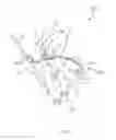 Fig. 11 - Adjustable harness for pet and methods of use