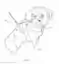 Fig. 13 - Adjustable harness for pet and methods of use