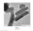 Fig. 05 - Encapsulation of active ingredients and method of making