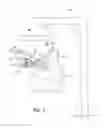 Fig. 09 - System and method for processing slaughtered animals and/or parts thereof