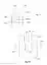 Fig. 19 - System and method for processing slaughtered animals and/or parts thereof