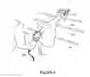 Fig. 45 - System and method for processing slaughtered animals and/or parts thereof