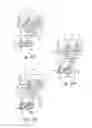 Fig. 52 - System and method for processing slaughtered animals and/or parts thereof