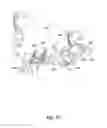 Fig. 56 - System and method for processing slaughtered animals and/or parts thereof
