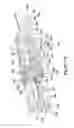 Fig. 74 - System and method for processing slaughtered animals and/or parts thereof