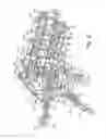 Fig. 81 - System and method for processing slaughtered animals and/or parts thereof
