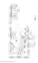 Fig. 85 - System and method for processing slaughtered animals and/or parts thereof