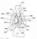Fig. 01 - METHOD AND APPARATUS FOR IMPROVED BRA