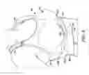 Fig. 08 - Post-surgical garment