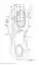 Fig. 06 - Article of footwear with midsole with arcuate underside cavity insert
