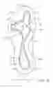 Fig. 14 - Article of footwear with midsole with arcuate underside cavity insert