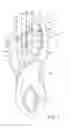 Fig. 06 - Article of footwear with midsole with arcuate underside cavity