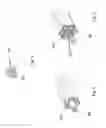 Fig. 04 - Zip fastener