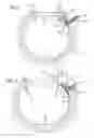 Fig. 02 - EARRING WITH LATCHING MECHANISM