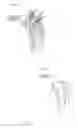 Fig. 10 - EASY FACELIFT