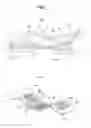 Fig. 02 - BOTTOM FOR BED APPARATUS