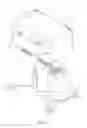 Fig. 02 - Flare-up Preventing Grill