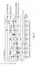 Fig. 08 - Floor cleaning article having strips with differential bond pattern