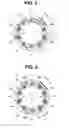 Fig. 05 - ENDOSCOPE