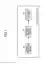 Fig. 02 - ENDOSCOPE APPARATUS AND METHOD FOR OPERATING ENDOSCOPE APPARATUS