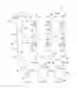 Fig. 11 - Medical devices and methods of placement