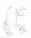 Fig. 60 - Medical devices and methods of placement