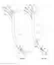Fig. 66 - Medical devices and methods of placement