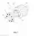 Fig. 05 - Optical coherence tomography probe for crossing coronary occlusions
