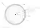 Fig. 01 - Non-invasive core temperature sensor