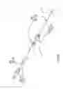 Fig. 03 - Cardiac tissue elasticity sensing