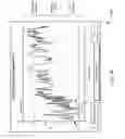 Fig. 18 - Rapid detection of bleeding before, during, and after fluid resuscitation