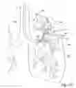 Fig. 20 - Method and apparatus for endobronchial diagnosis