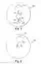 Fig. 06 - SAMPLING DEVICES AND METHODS INVOLVING RELATIVELY LITTLE PAIN
