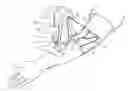 Fig. 01 - Micro vein enhancer with a dual buffer mode of operation