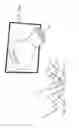 Fig. 37 - Micro vein enhancer with a dual buffer mode of operation