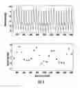 Fig. 02 - Determination of a hemodynamic parameter
