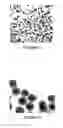 Fig. 09 - Radiographic contrast agents for temporal subtraction and dual-energy x-ray imaging