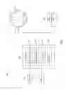 Fig. 02 - Systems and methods for adjustable view frequency computed tomography imaging