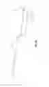 Fig. 07 - Surgical suturing device with transverse engagement