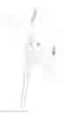 Fig. 08 - Surgical suturing device with transverse engagement