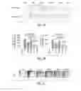 Fig. 03 - Use of remote ischemic conditioning to improve outcome after myocardial infarction