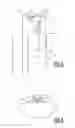 Fig. 05 - Bodily tissue treatment kit