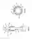Fig. 04 - Electrolytic and mechanical detachment for implant delivery systems