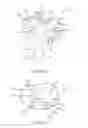 Fig. 02 - Sparse contact tibia jig mechanism