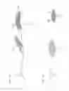 Fig. 28 - Segmented delivery system